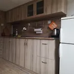 Πανσιόν Milka Yagodina